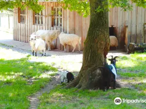Wild- und Freizeitpark