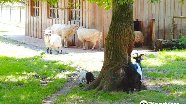 Вильд унд Фрайцайтпарк Хёллоэ