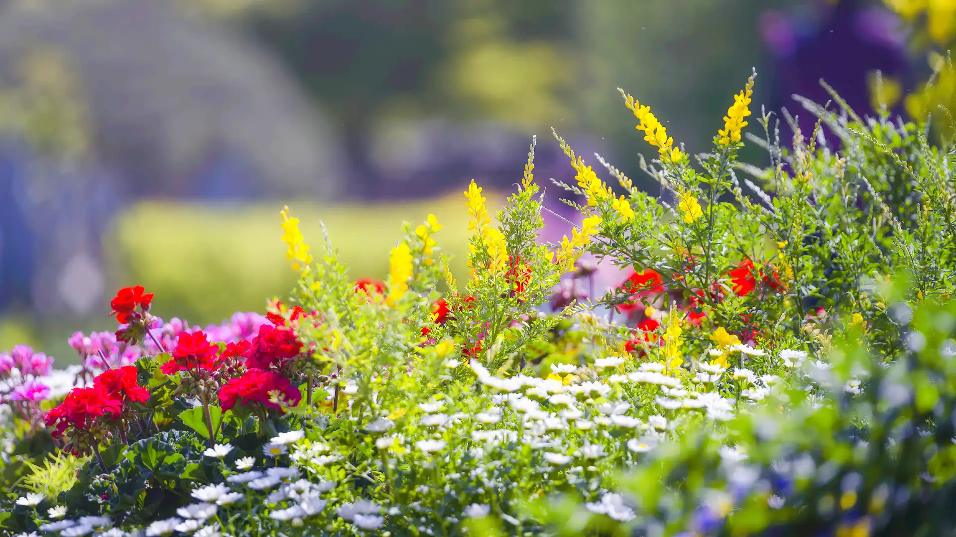 Hotels near Korea Expressway Corporation Arboretum (Jeonju Arboretum )