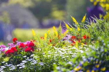 Korea Expressway Corporation Arboretum (Jeonju Arboretum )