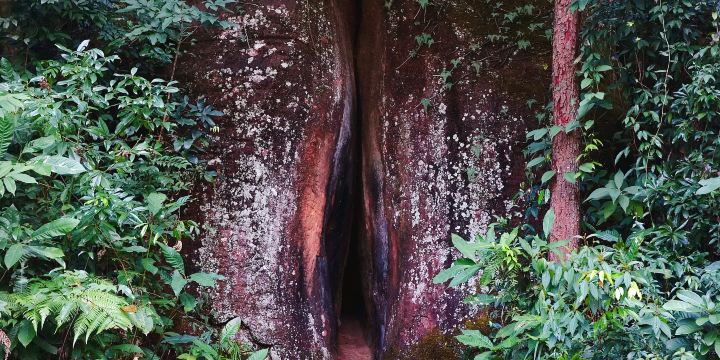 Yin Stone