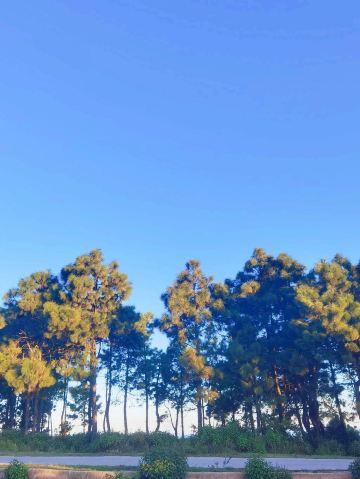 Yunlong Mountain Scenic Area