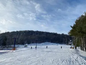 Royal Mountain Ski Area