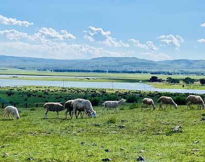 Laoli Lake