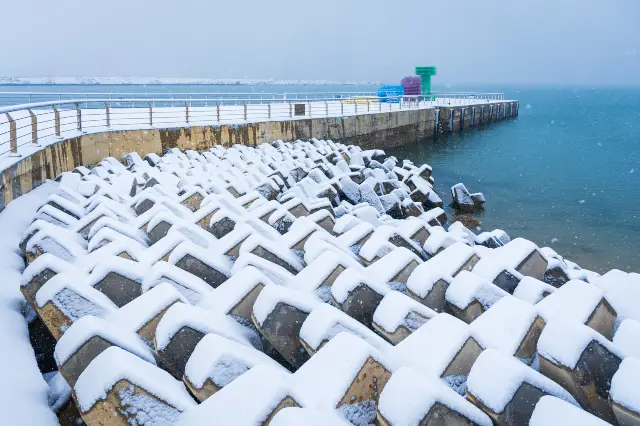 Seaside Snow Viewing in Weihai