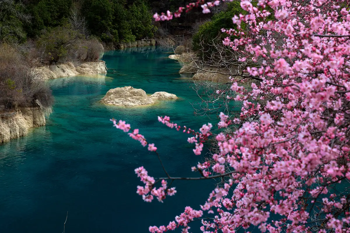 What to See in Jiuzhaigou National Park? The Highlights Ranked