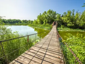 Nenjiangwan National Wetland Park of Da'an