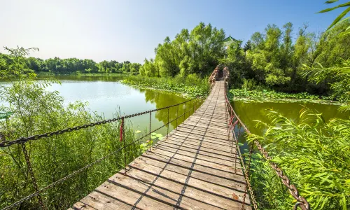 Nenjiangwan National Wetland Park of Da'an
