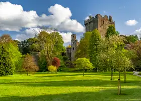 Blarney Castle & Gardens