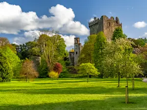 Popular Best Things to Do in Cork