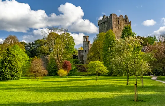 布拉尼城堡門票長者