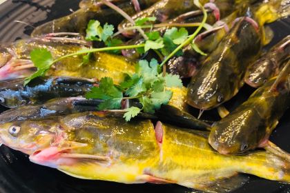 苗味酸汤世家(川心店)