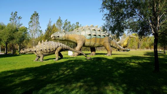 Dinosaur National Geology Park In Jiayin County