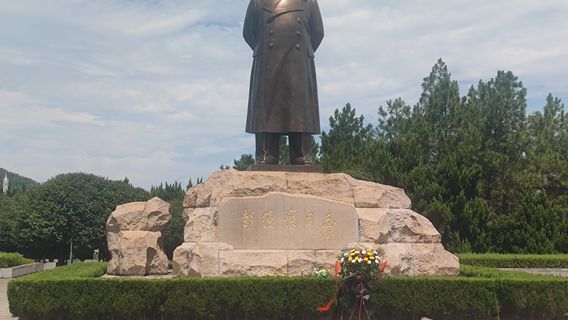 peng de huai tong zhi tong xiang