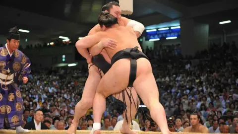 Sumo Performance Watching in Tokyo attraction in Tokyo