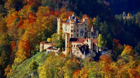 Hohenschwangau Castle attraction in Bavaria