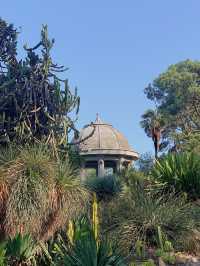 호주의 도심 속 식물원 ⠀̆̈