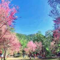 ลานดูดาว​ ท่ามกลางขุนเขา