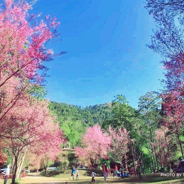 ลานดูดาว​ ท่ามกลางขุนเขา