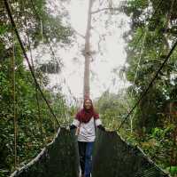 Poring Hotspring
