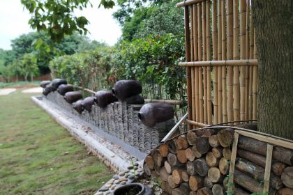 东山人家(长兴店)