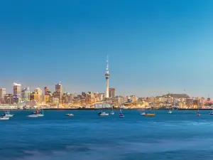 Top 10 Best Things to Do in Auckland Central