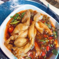 China Club張用戶圖片