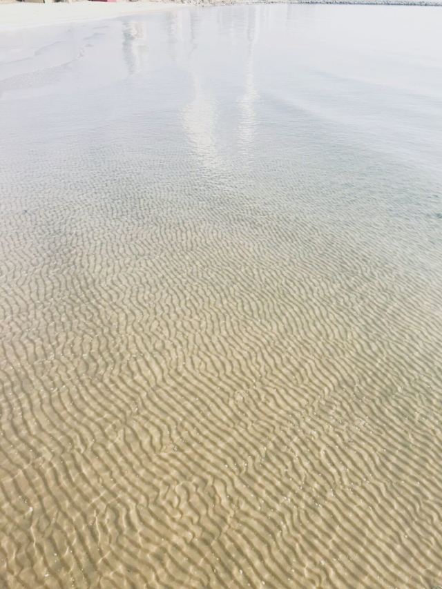 동다이허