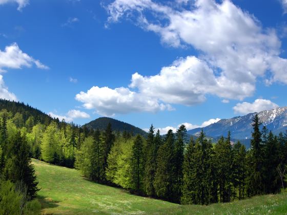 那拉提旅遊風景區