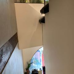 虞面斋常熟野蕈（Xun）面馆 User Photo