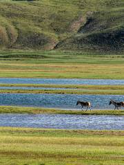 อุทยานแห่งชาติ Sanjiang Yuanmaduo ของจังหวัดชิงไห่