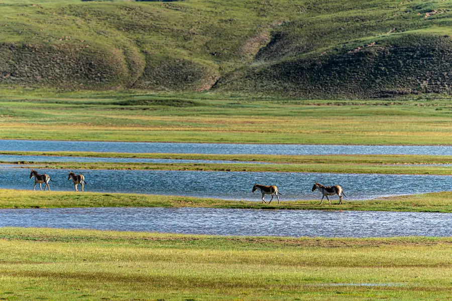 Qinghaisheng Sanjiang Yuanma Duo National Park