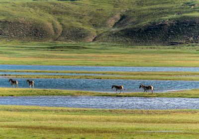 Qinghaisheng Sanjiang Yuanma Duo National Park