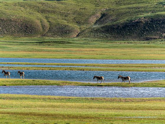 Qinghaisheng Sanjiang Yuanma Duo National Park