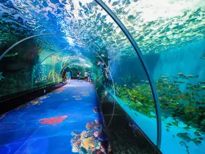 Top 3 Best Things to Do in Yongtai