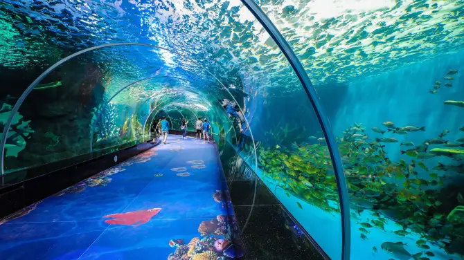 1_永泰歐樂堡海洋世界
