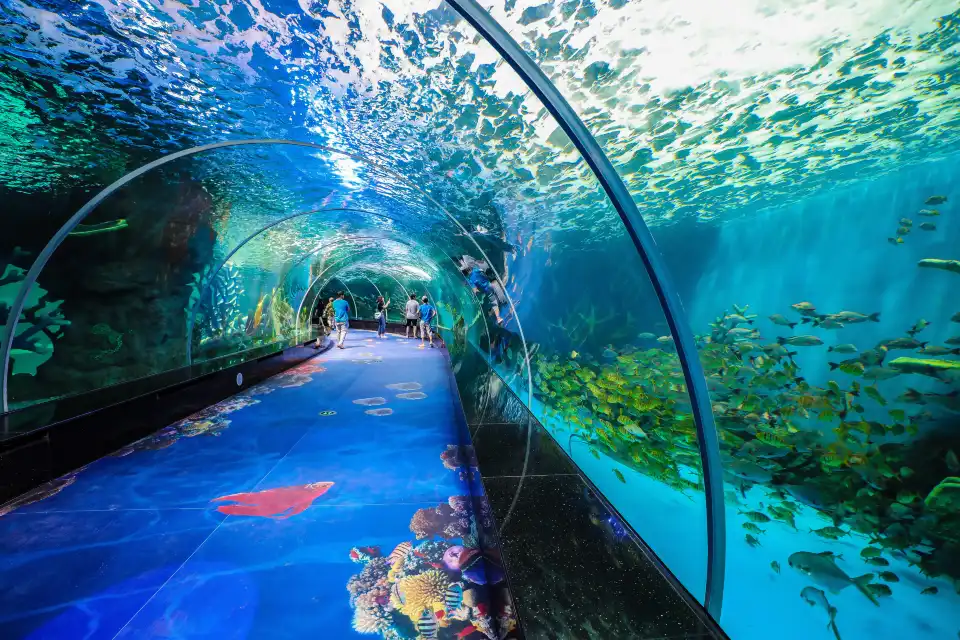 2_Fuzhou Oulebao Ocean World