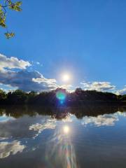 Basingstoke Canal