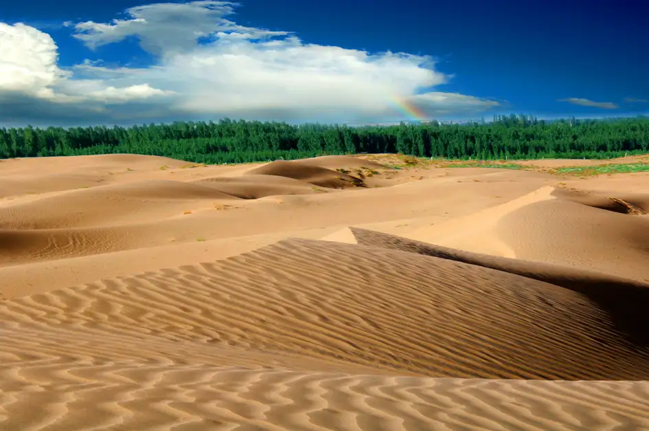 5_Tukai Desert