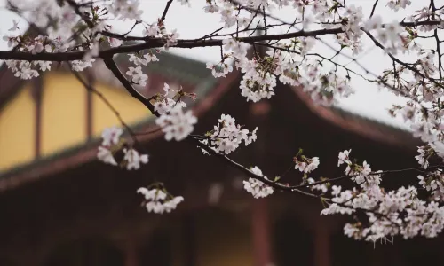 Donglin Temple