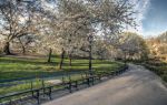 Yongsan Family Park