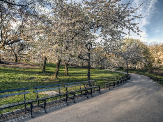 Yongsan Family Park