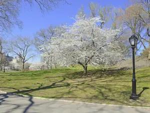 Aobagaoka Park