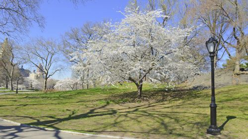 Aobagaoka Park