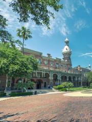 L’université de Tampa