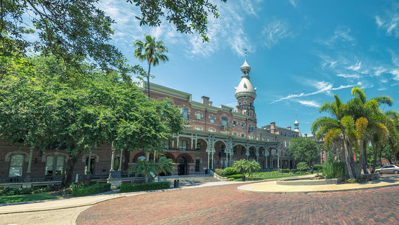 The University of Tampa