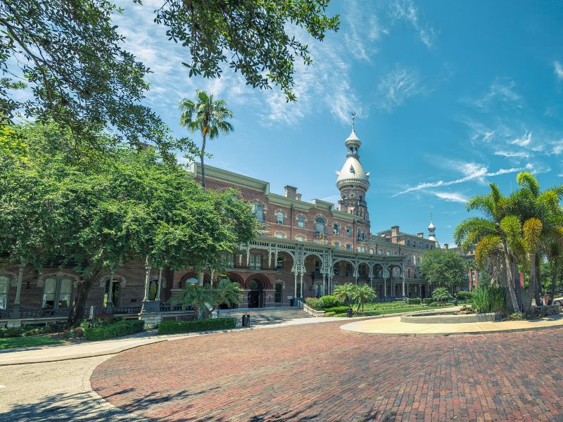 The University of Tampa