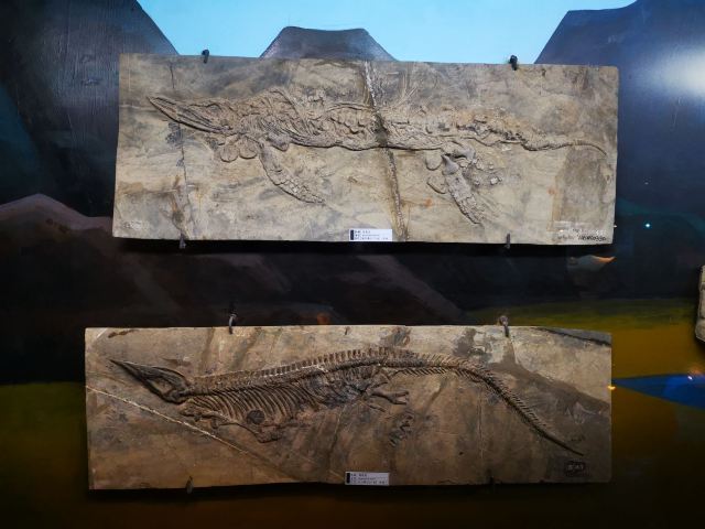 Liuzhou Museum