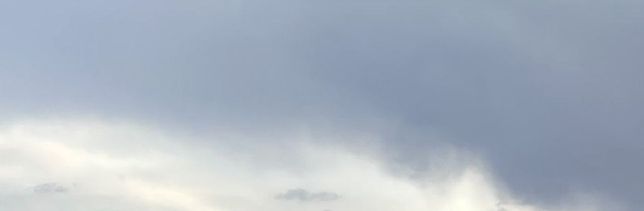阿玛尼餐包