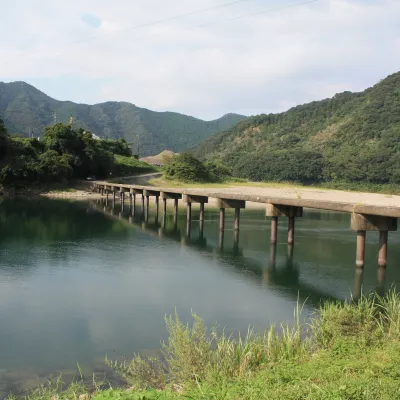 ひろめ市場周辺のホテル